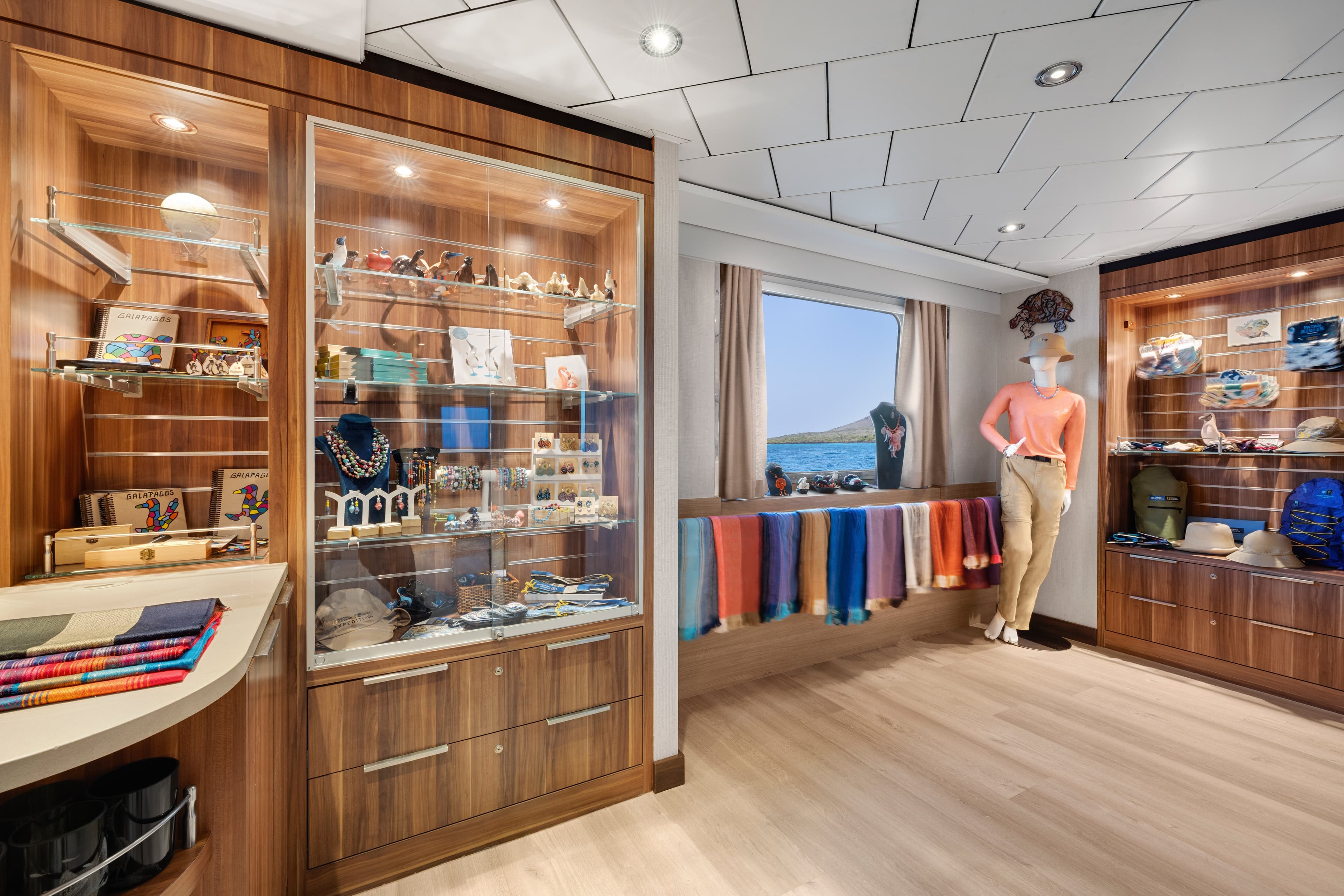 Large RGB-LEX-Ship NG Gemini Interior.jpg