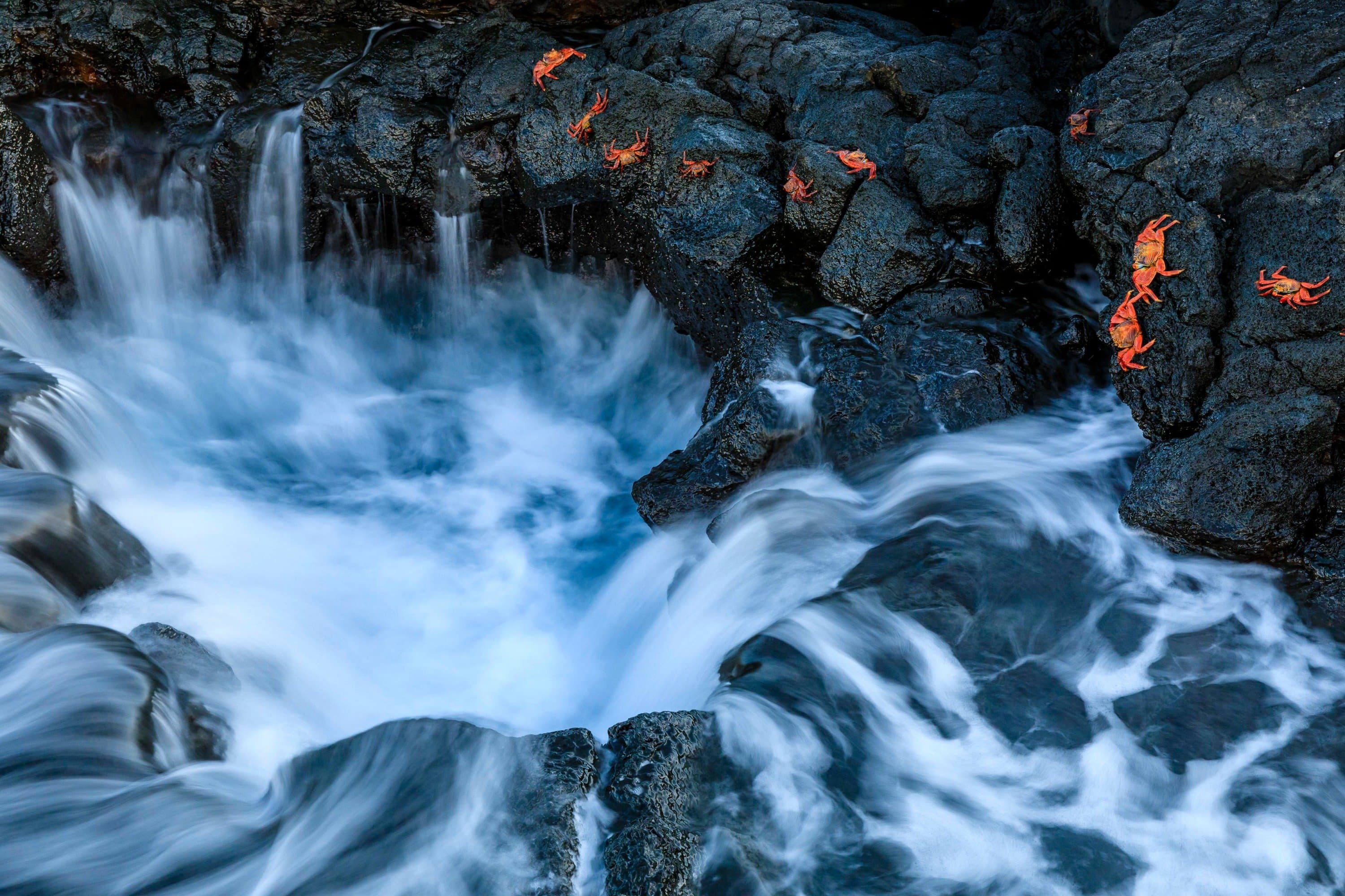 _Ralph Lee Hopkins_GAL18_15525.jpg