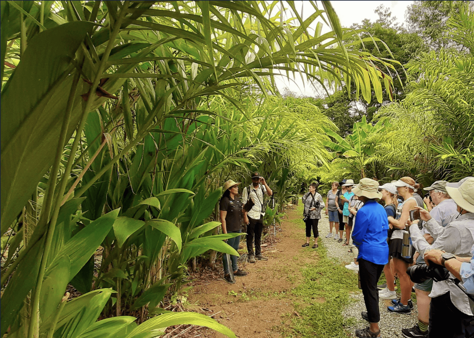 Screenshot 2024-05-09 at 10.59.29 AM.png