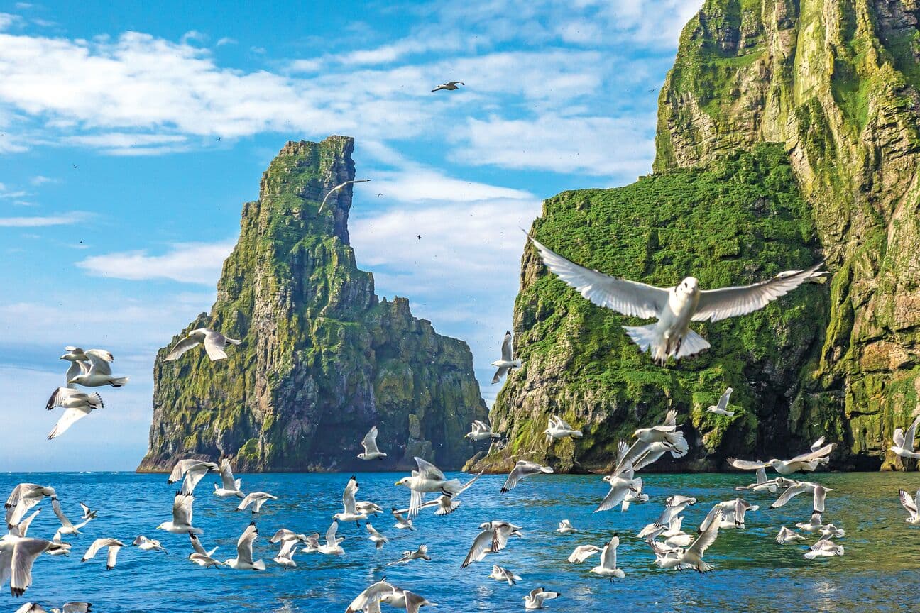 Large RGB-Lindblad Expeditions-Norway Svalbard AR398.jpg