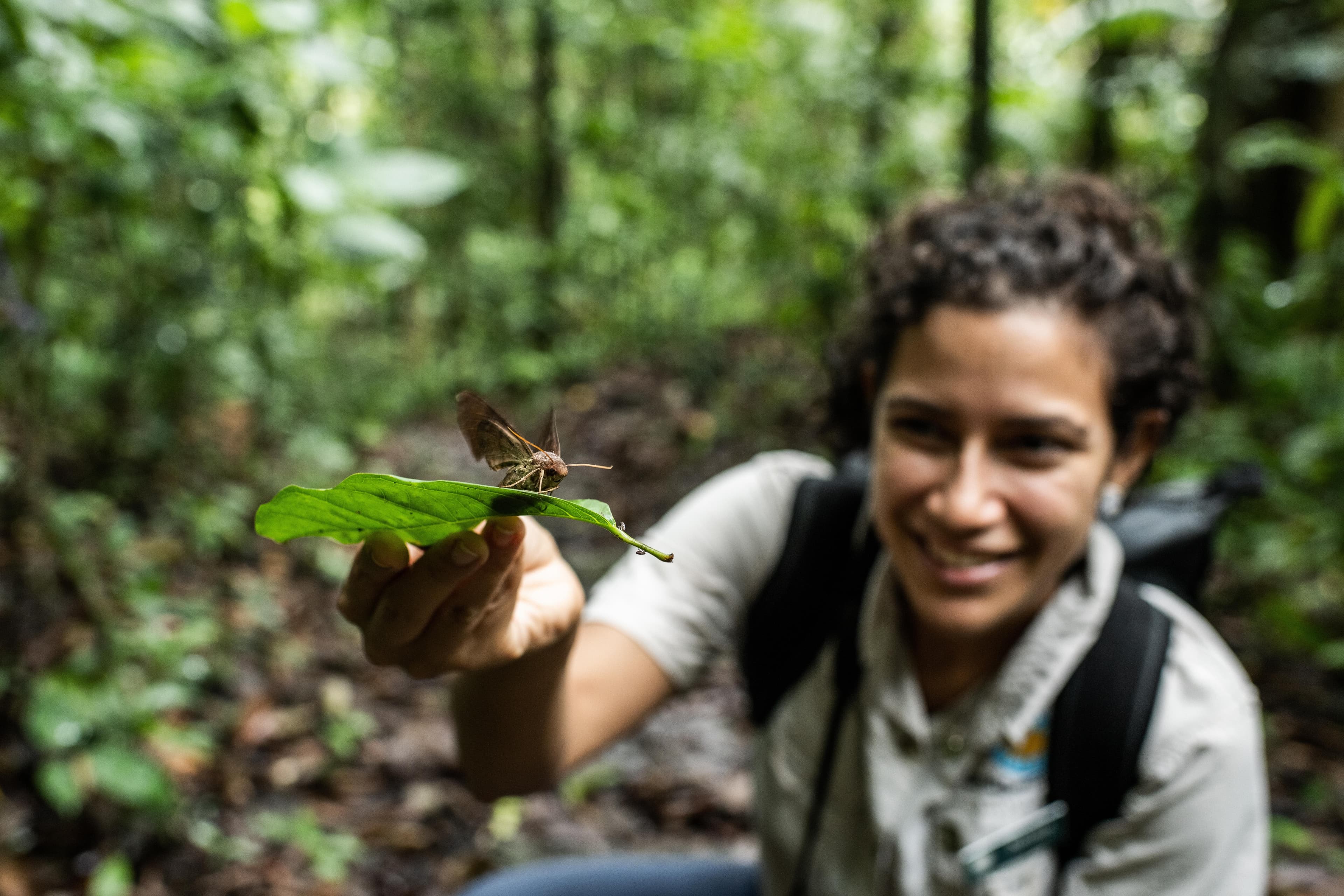 Large RGB-LEX-Panama Barro Colorado DV299.jpg