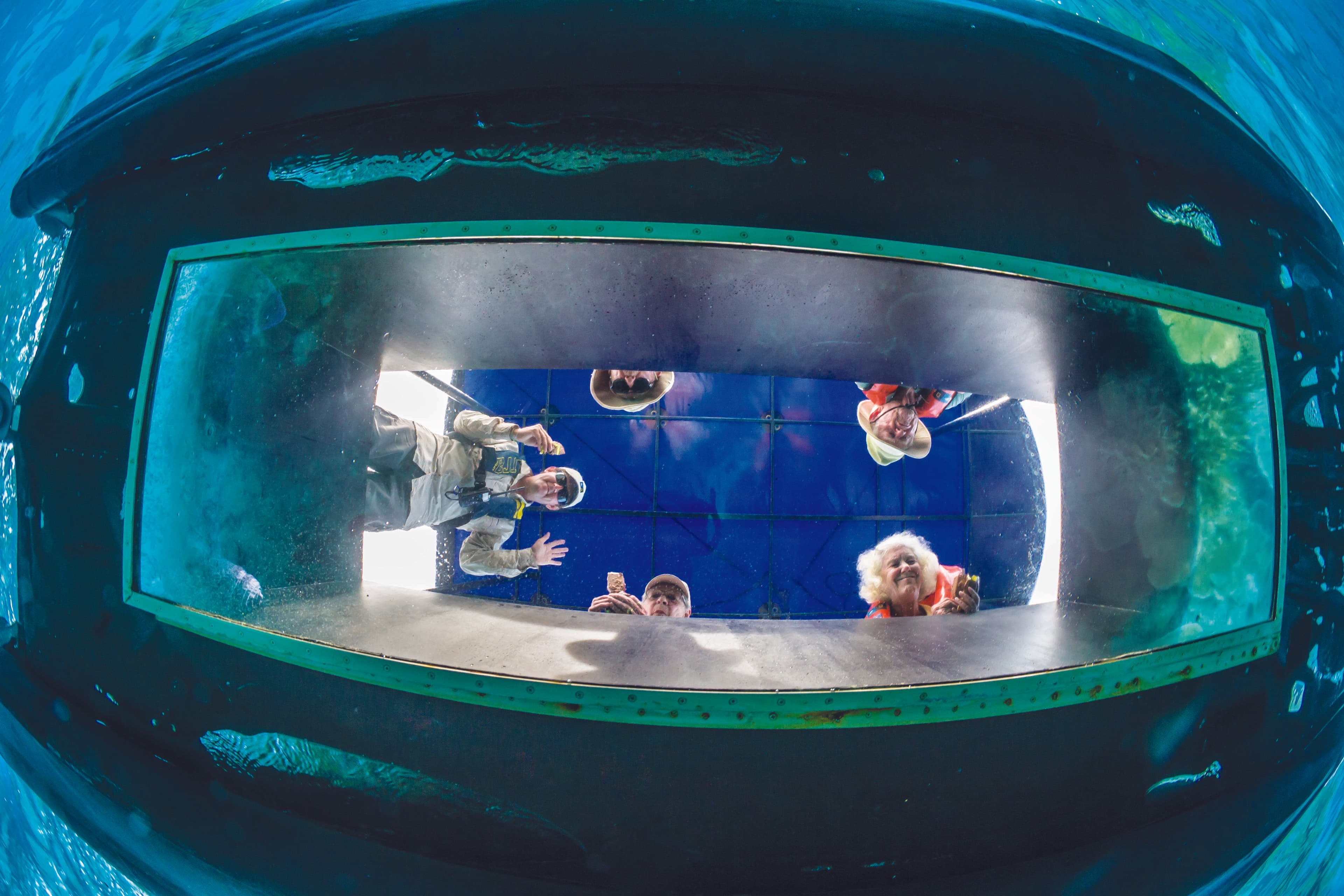 Orion Glass Bottom Zodiac.png