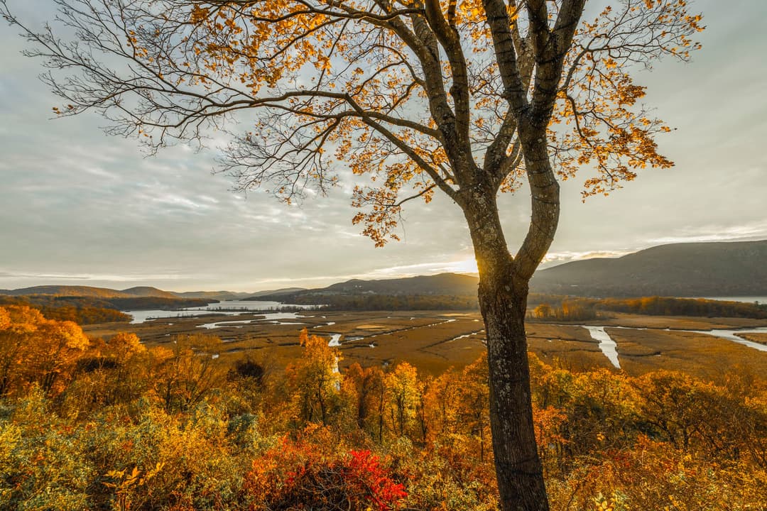 Autumn Delights in New York's Hudson River Valley - Article