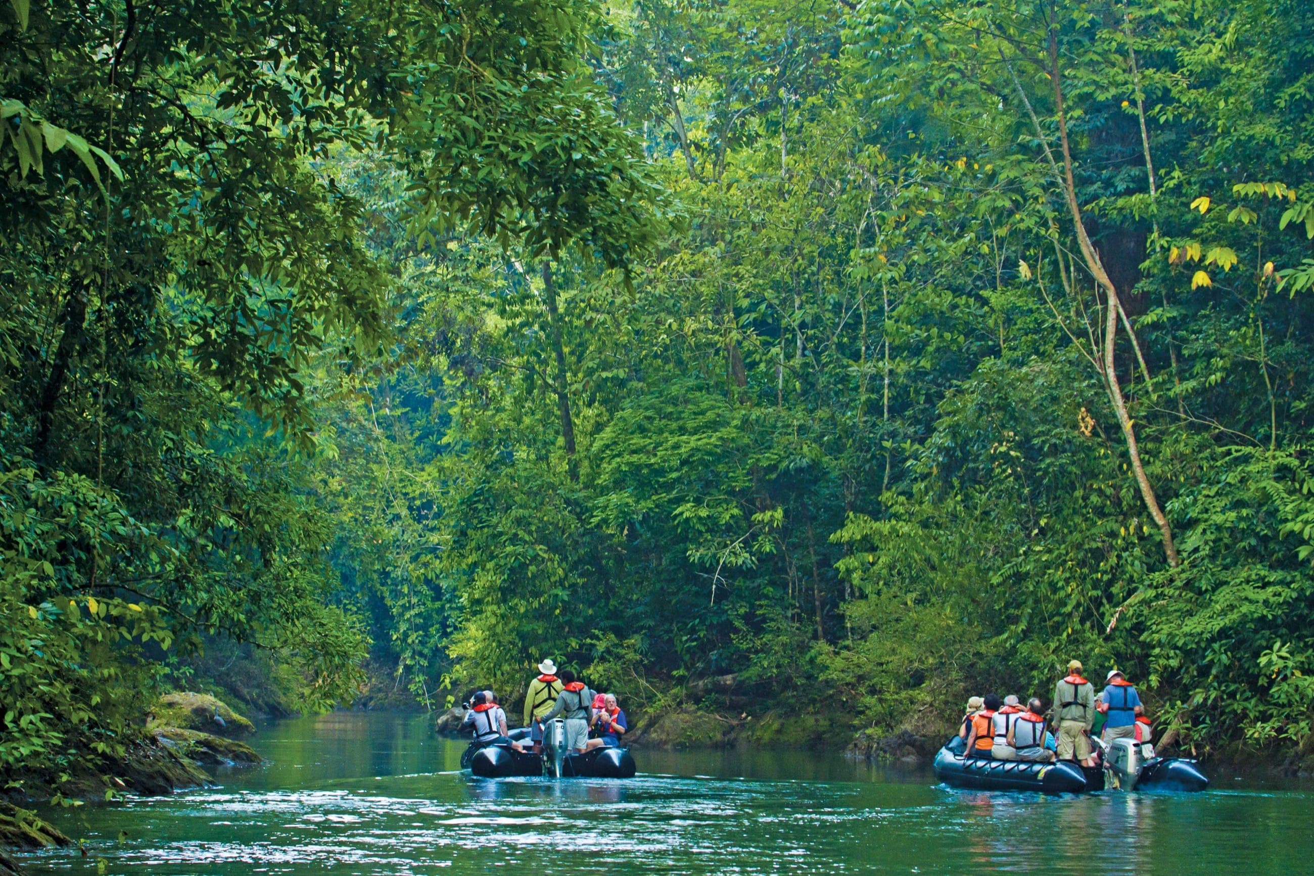 Hero Image Ralph Hopkins_Corcovado_CA491.jpg