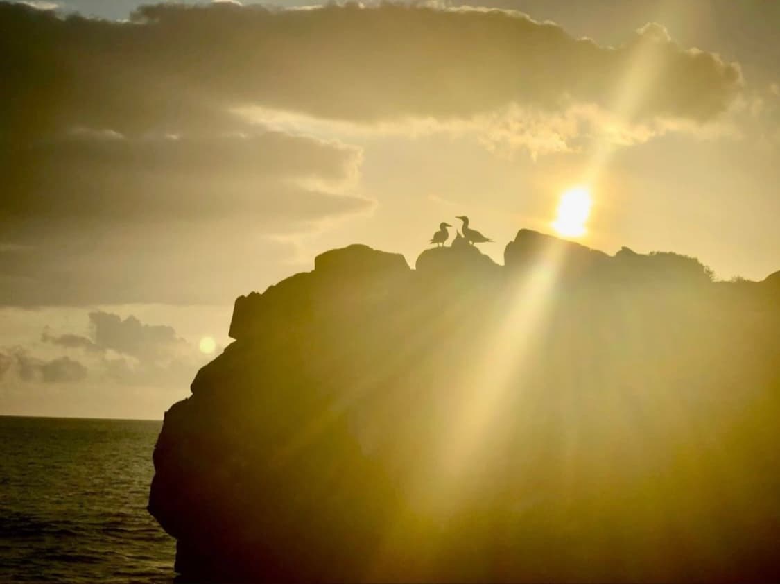 Hero Image Sunset_Pablo Barrera.jpg