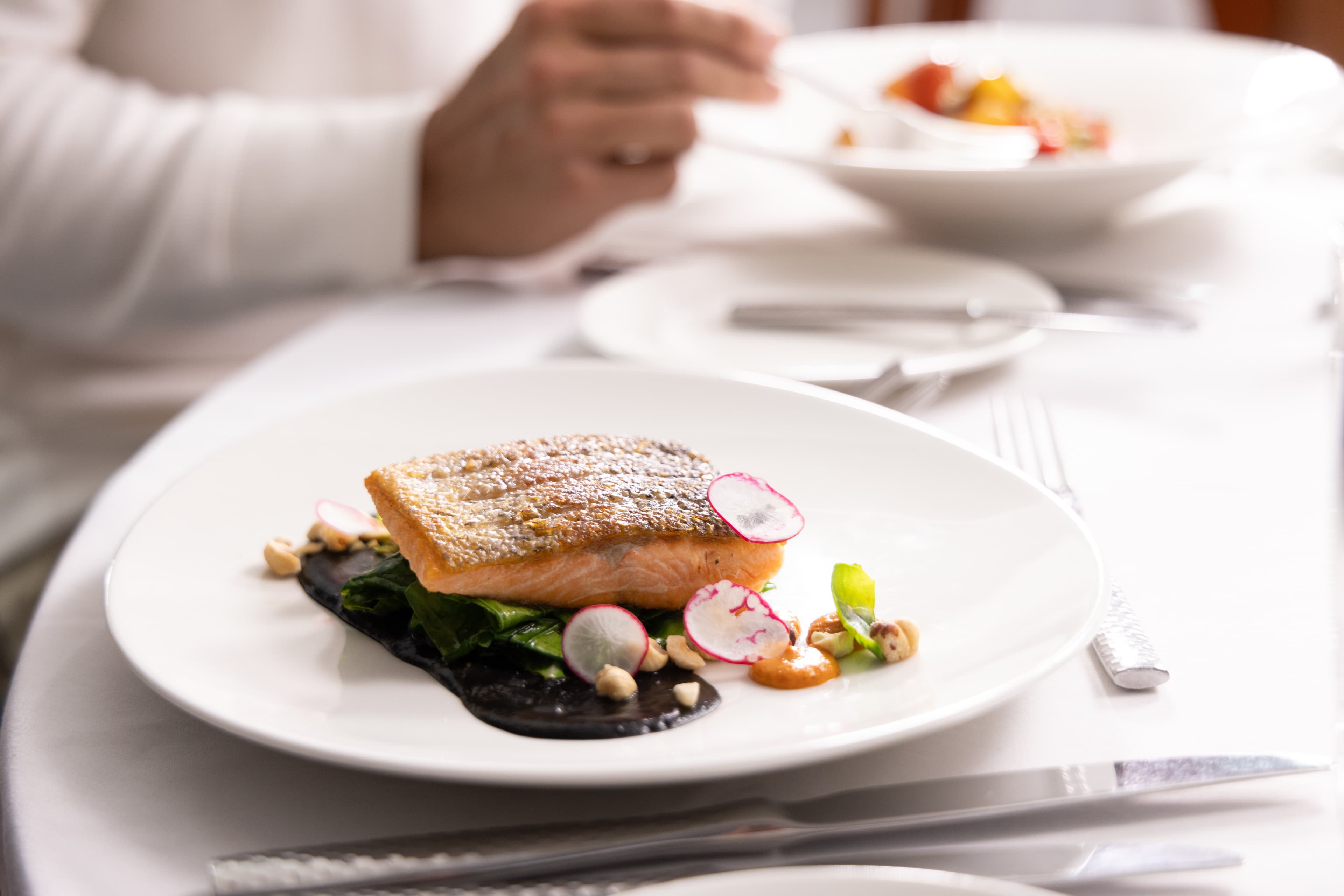 Large RGB-LEX-Ship NG Sea Bird Interior DS-8342.jpg