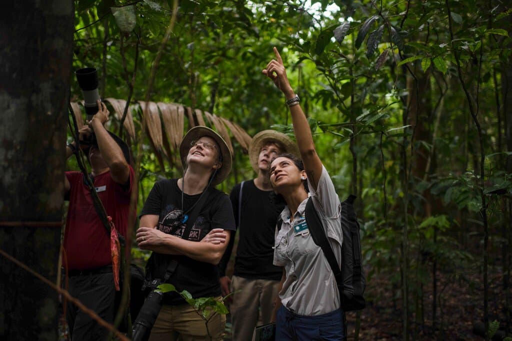 Medium RGB-LEX-Panama Barro Colorado DV268-2.jpg