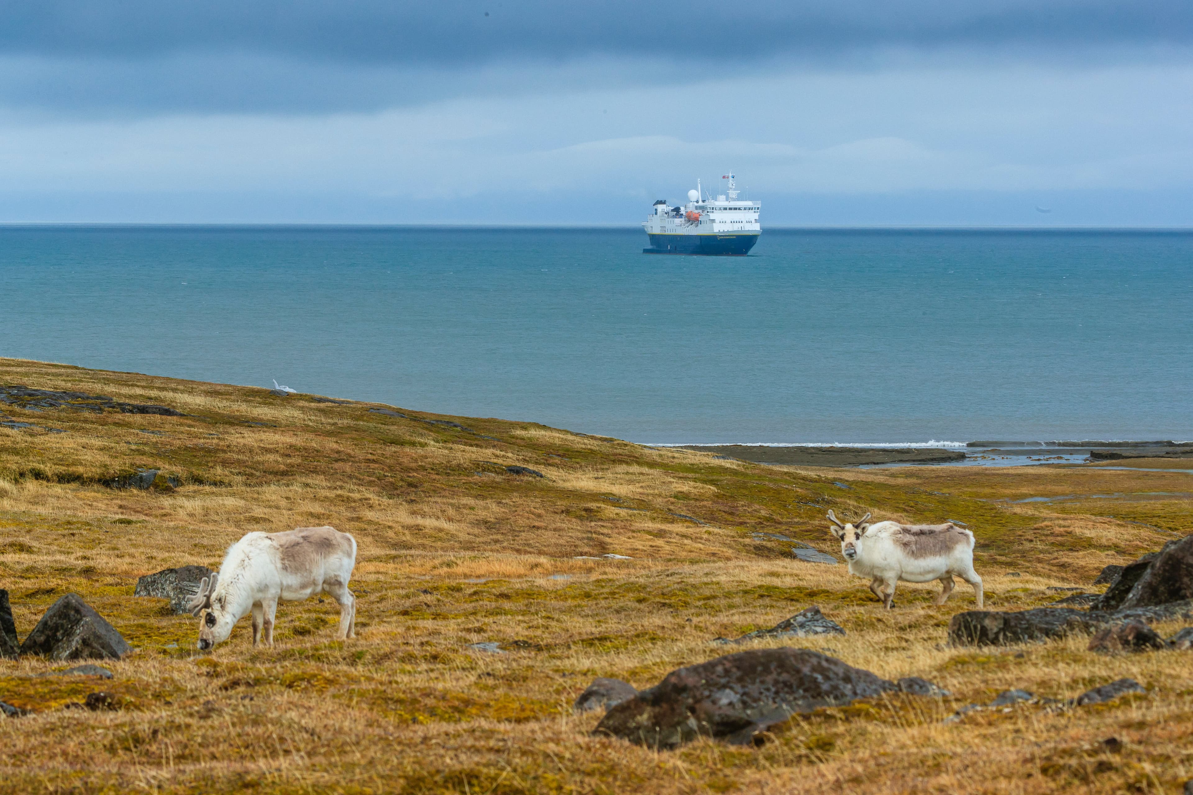 Large RGB-LEX-Norway Svalbard Edge Island RLH-NOR18-18086.jpg