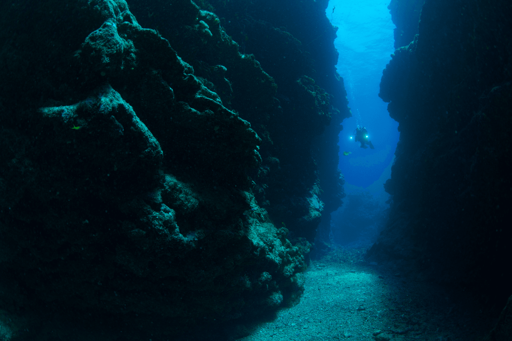 NGSPS2013NCAL_Enric Sala_NC1_7744.JPG