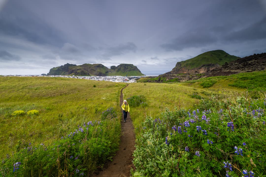 Iceland in Pictures: A Revealing Look at the Less-Traveled Side of This Beloved Island - Article