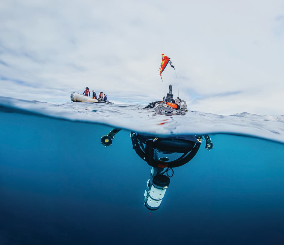 Conservation in Action: How Science at Sea Takes the Thrill of Exploration to the Next Level - Article