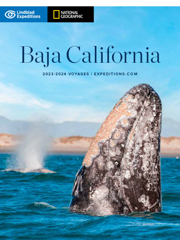 Baja California 2023-24