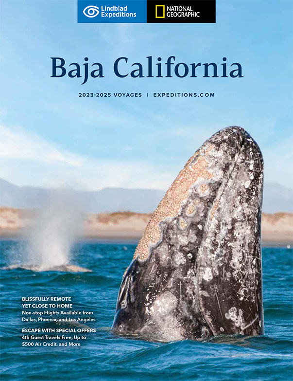 Baja California 2023-25