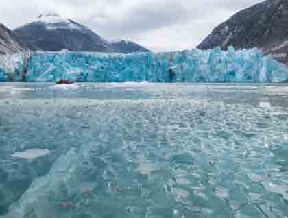 endicott arm dawes glacier ford 39 s terror lindblad find integral online