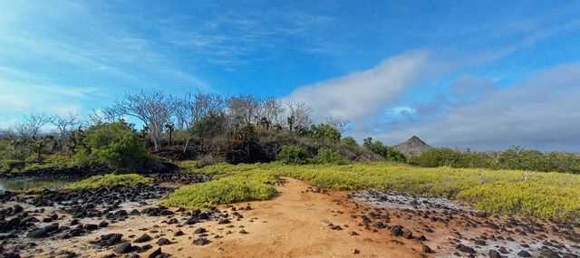 Santa Cruz Island, Dragon Hill, Bahia Borrero