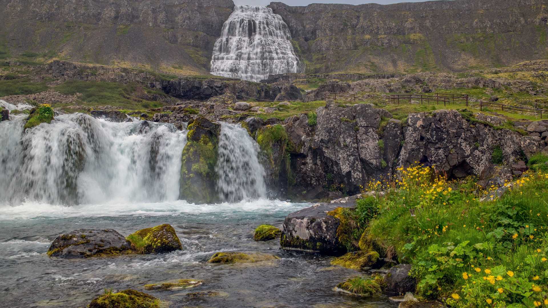 Dynjandi Waterfalls & Vigur Island, Iceland