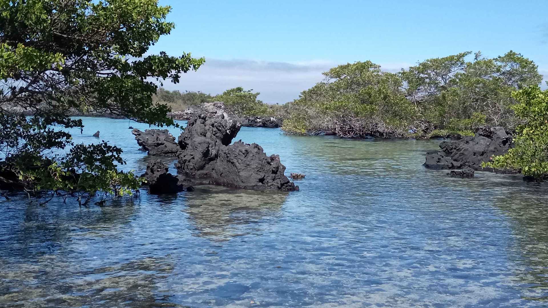 Isabela Island