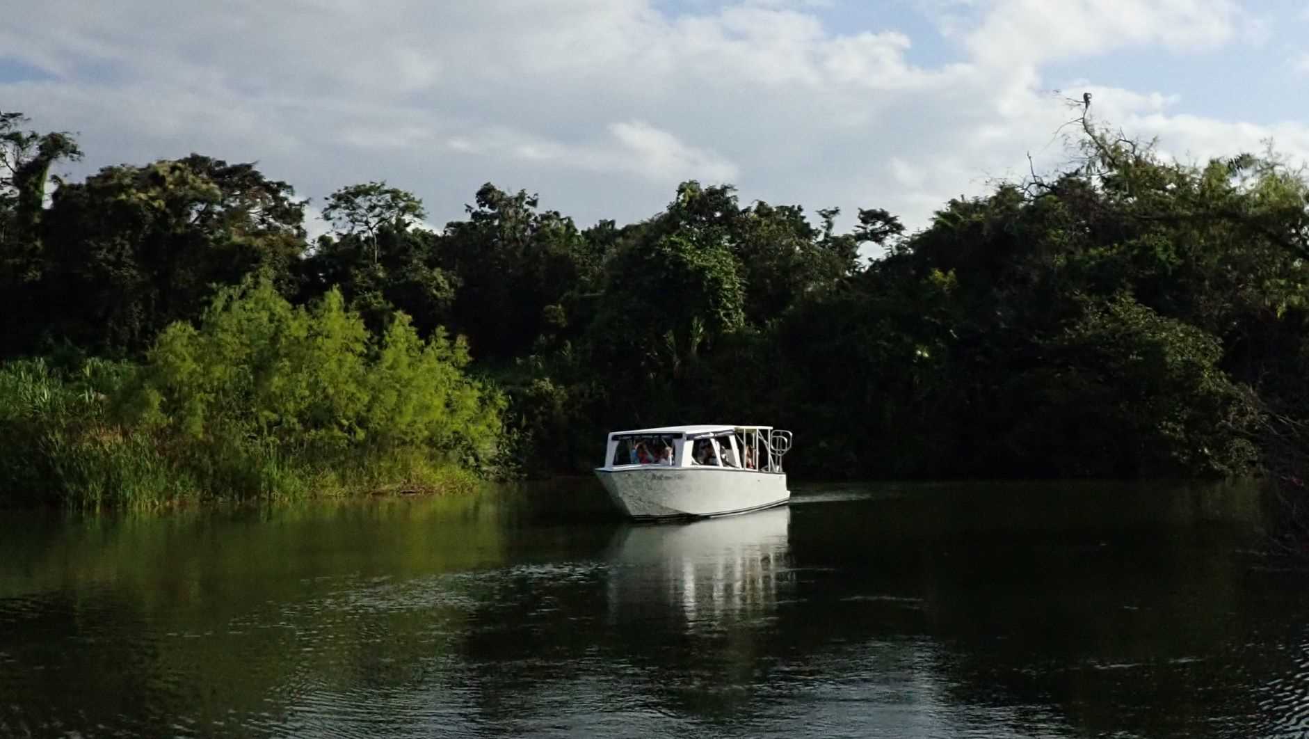 Monkey River and Ranguana Caye