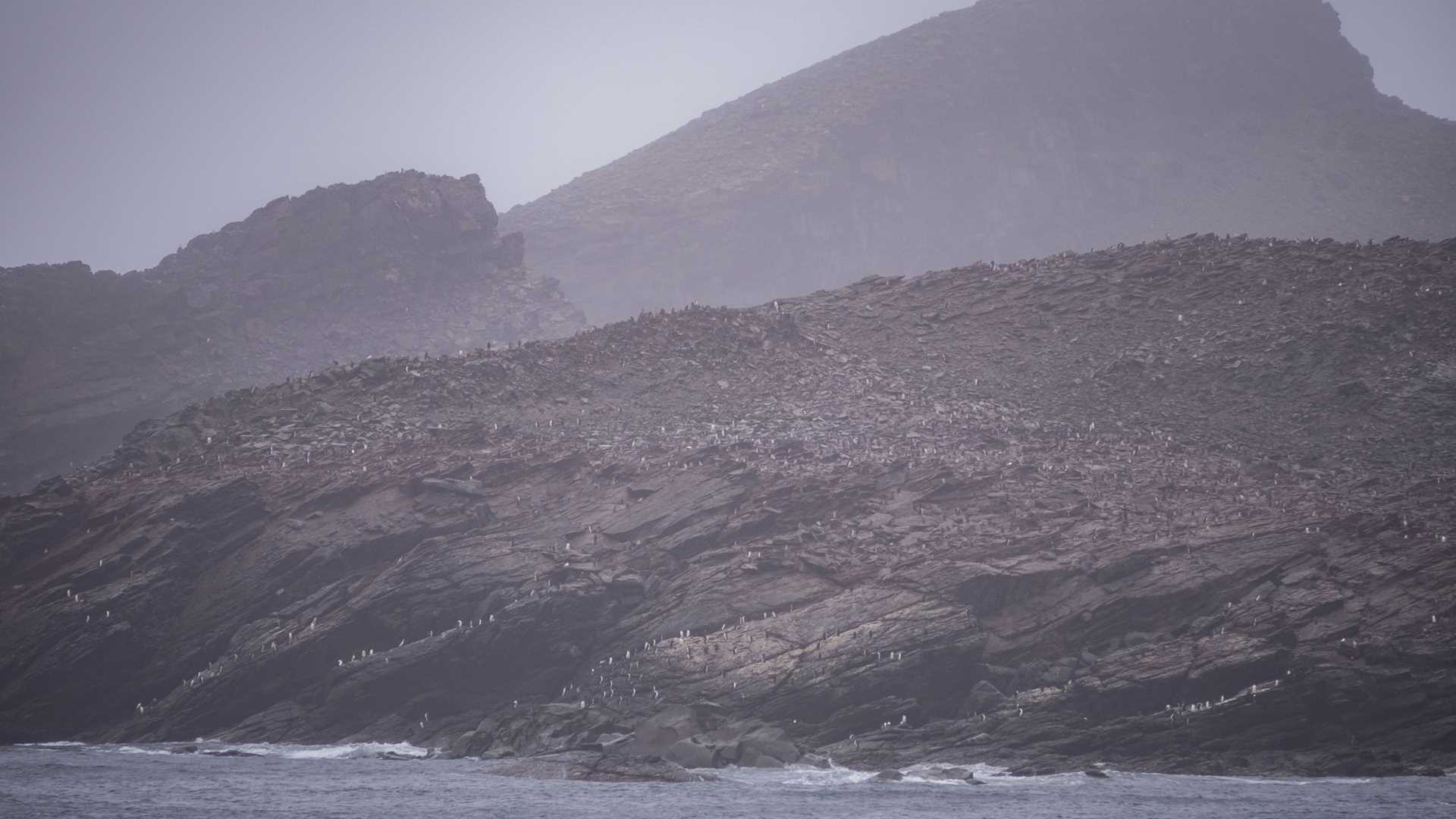 Coronation Island, South Orkney Islands, Southern Ocean