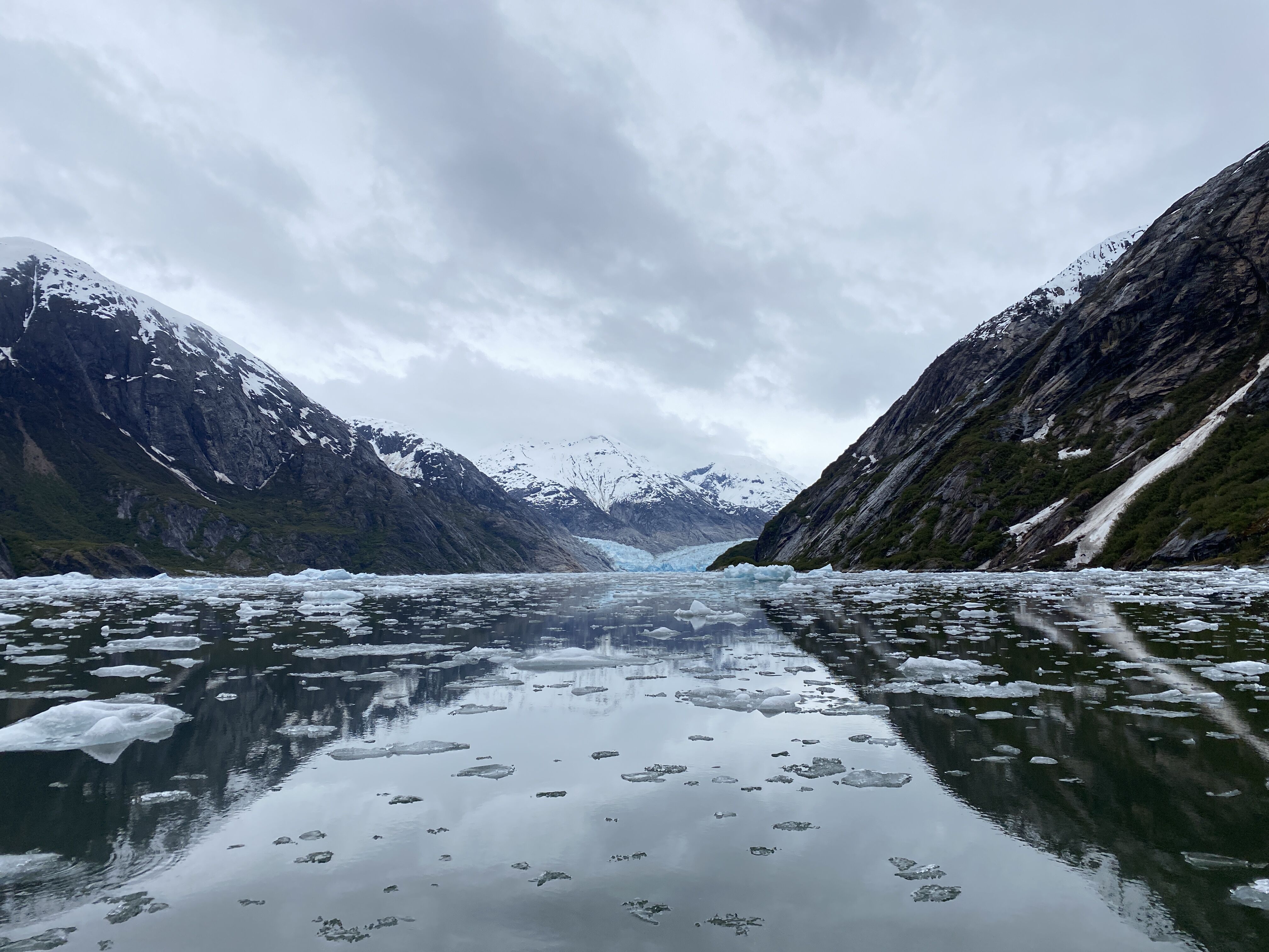 Endicott Arm, Dawes Glacier 5162022 National Geographic Sea Bird