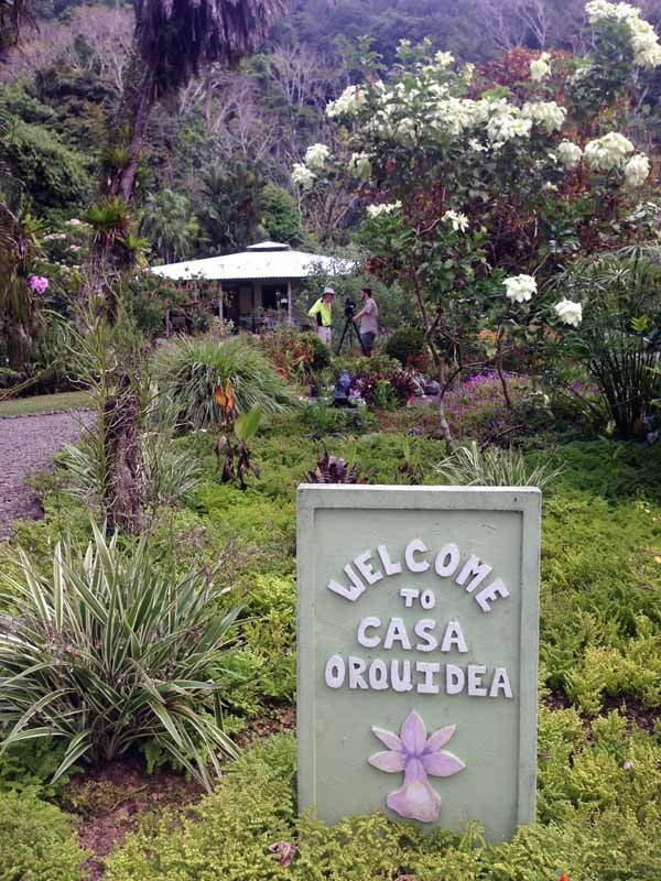 casa orquideas botanical garden costa rica