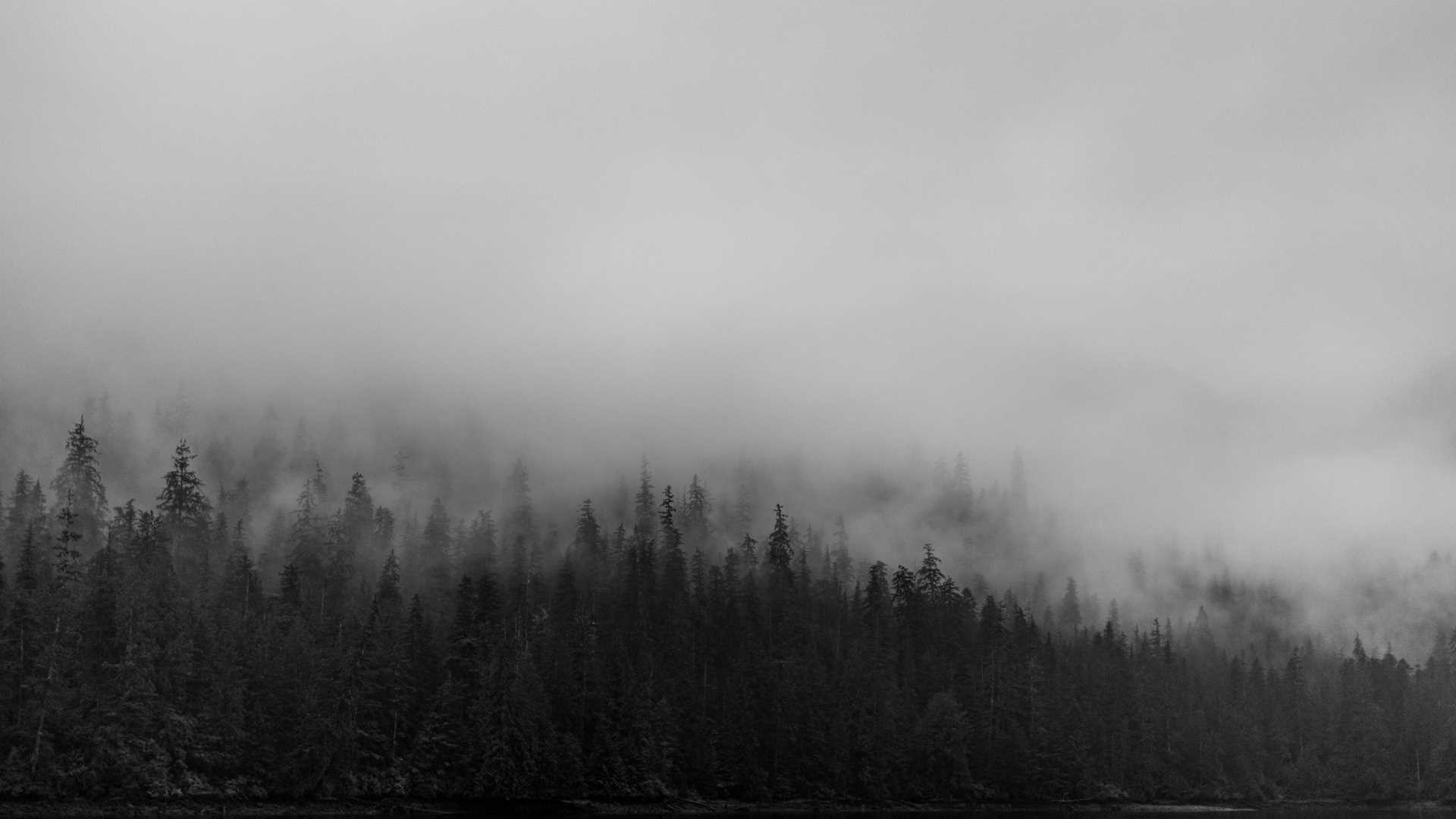 Misty Fjords National Wilderness Area
