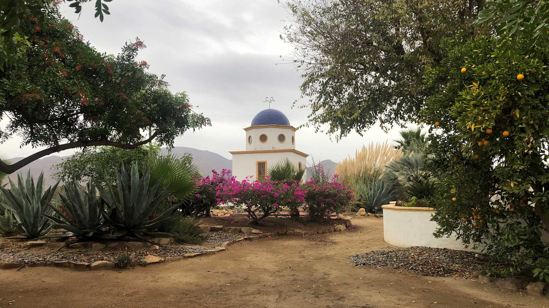 Ensenada and Valle de Guadalupe