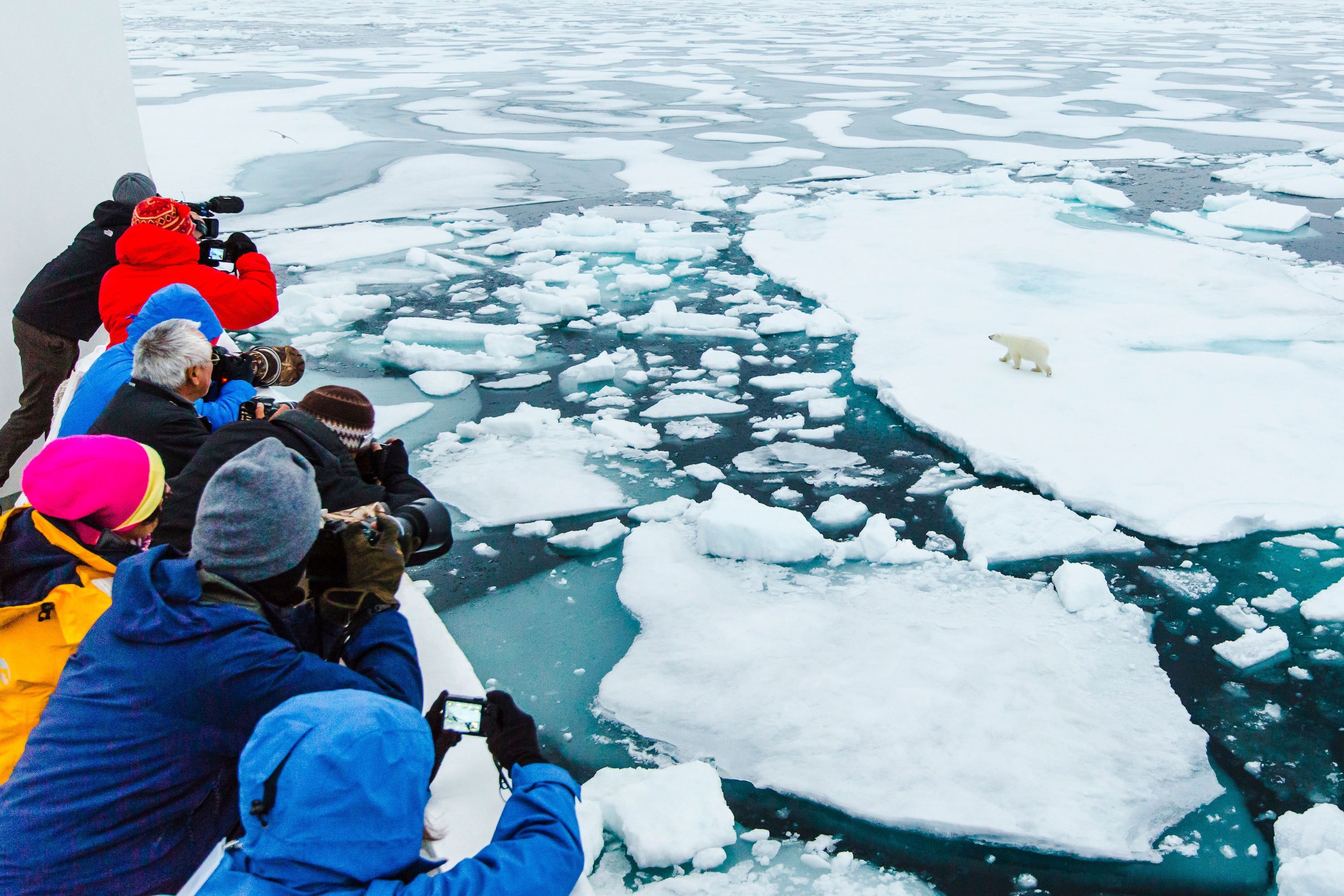 What to Expect Sailing the Northwest Passage Lindblad Expeditions