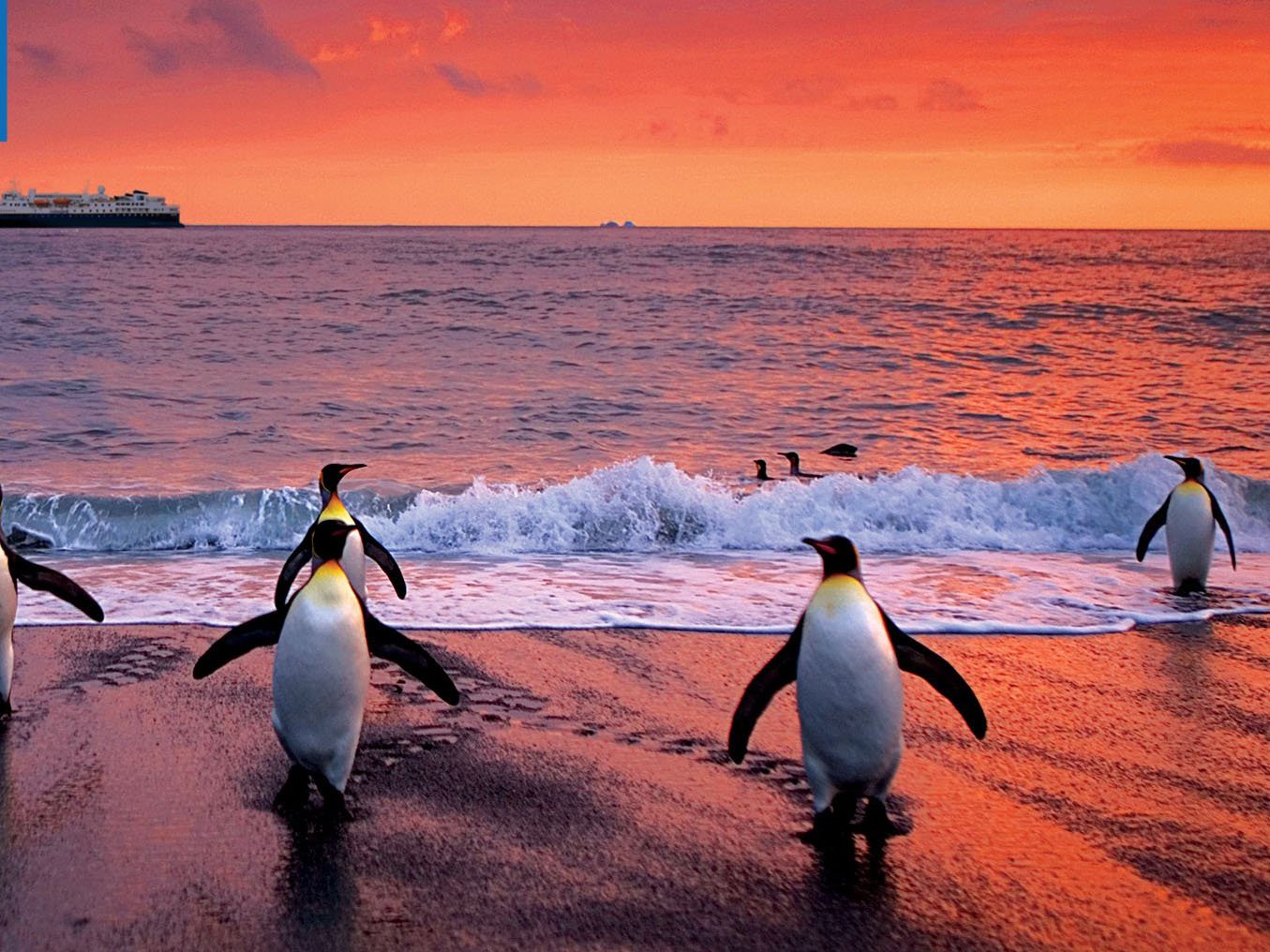Virtual Zoom Backgrounds | Lindblad Expeditions
