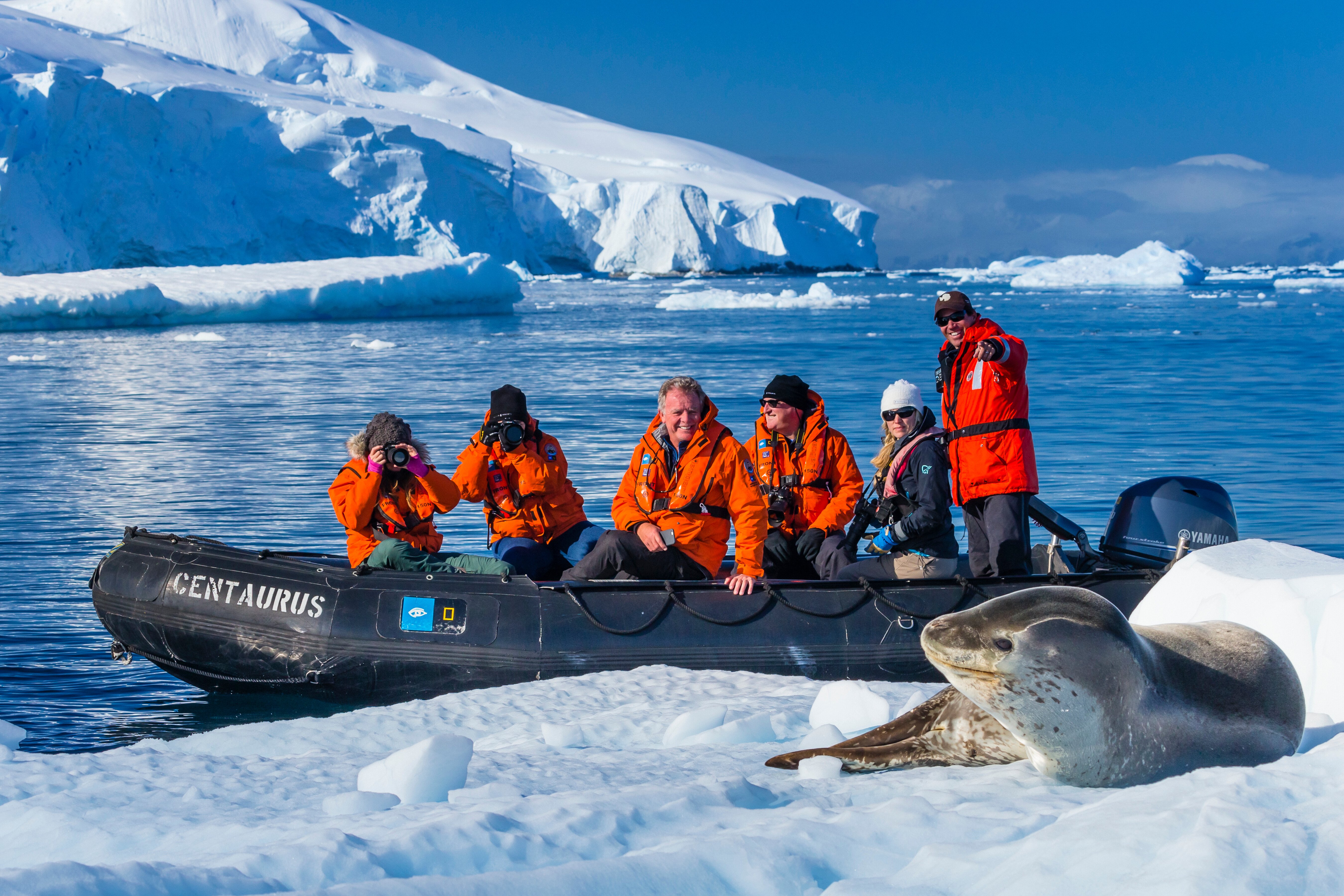 Antarctica Photography Trips: Tips for the Ice-bound Explorer | Lindblad  Expeditions