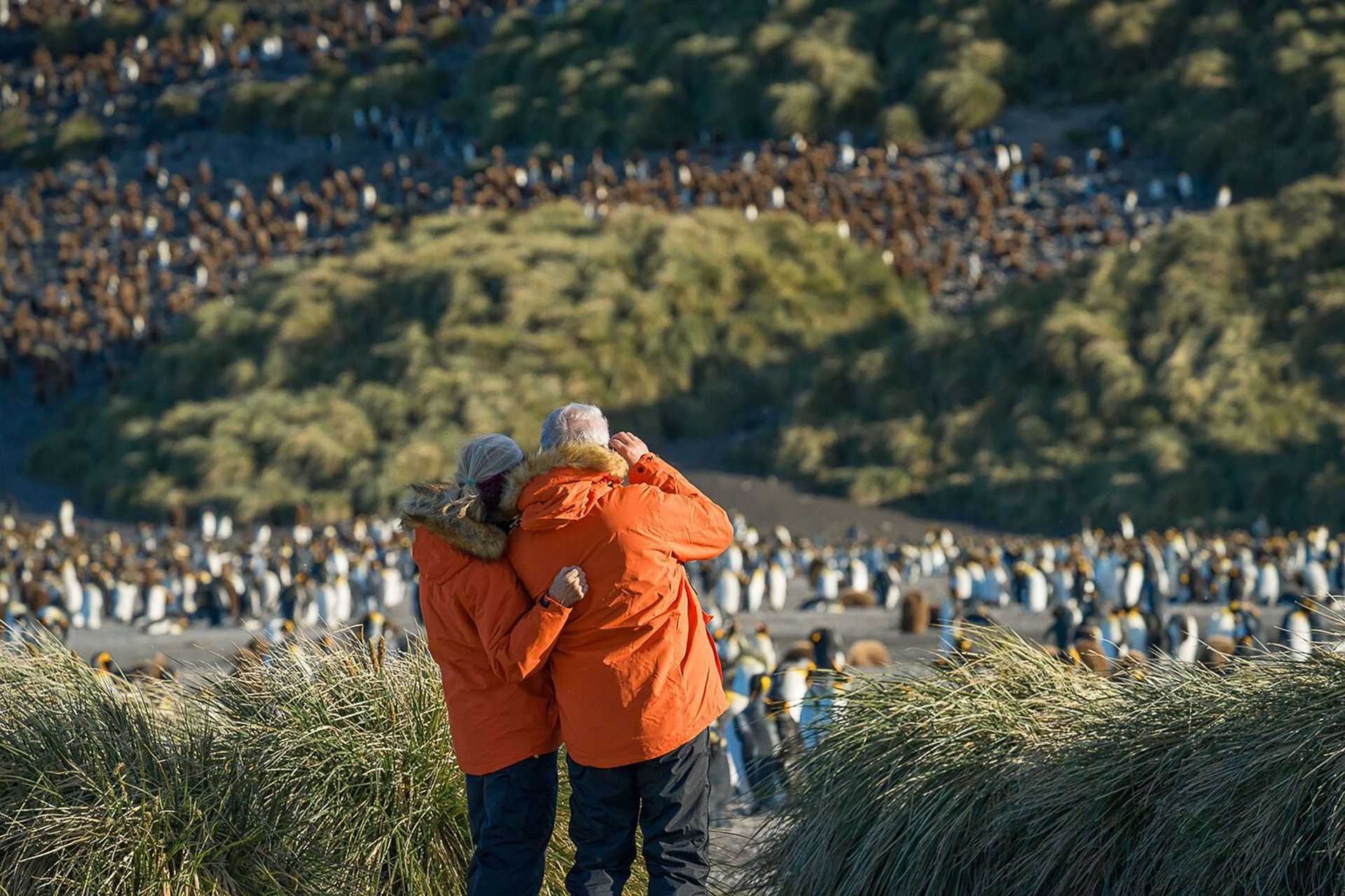 a couple in orange parkas look at thousands of king penguins