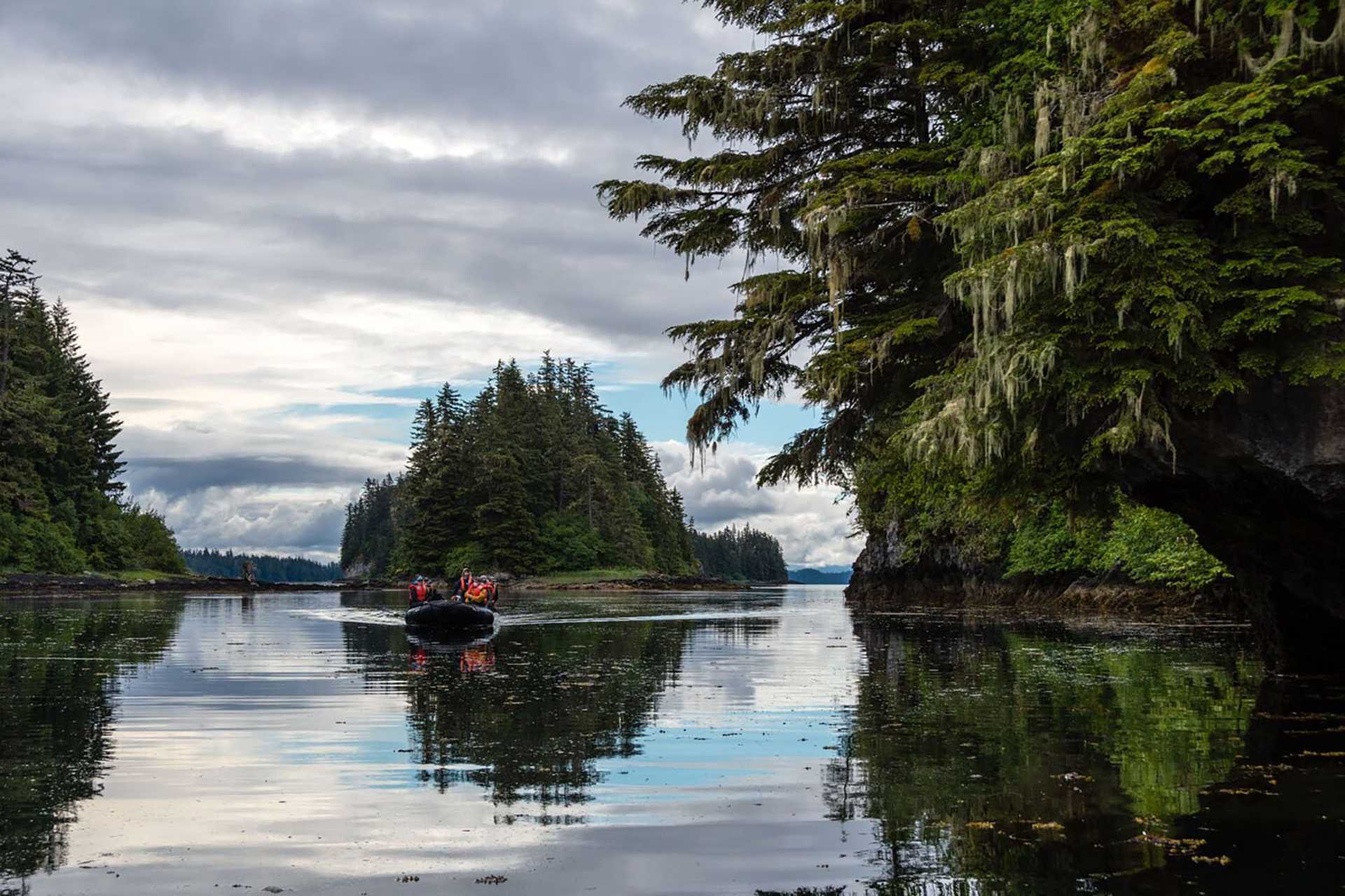 zodiac on glassy water