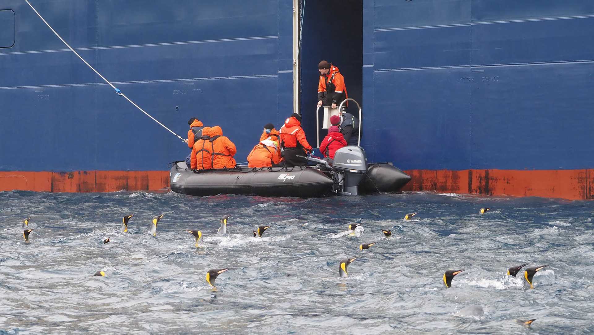 guests disembarking a zodiac. the water around them is full of penguins.