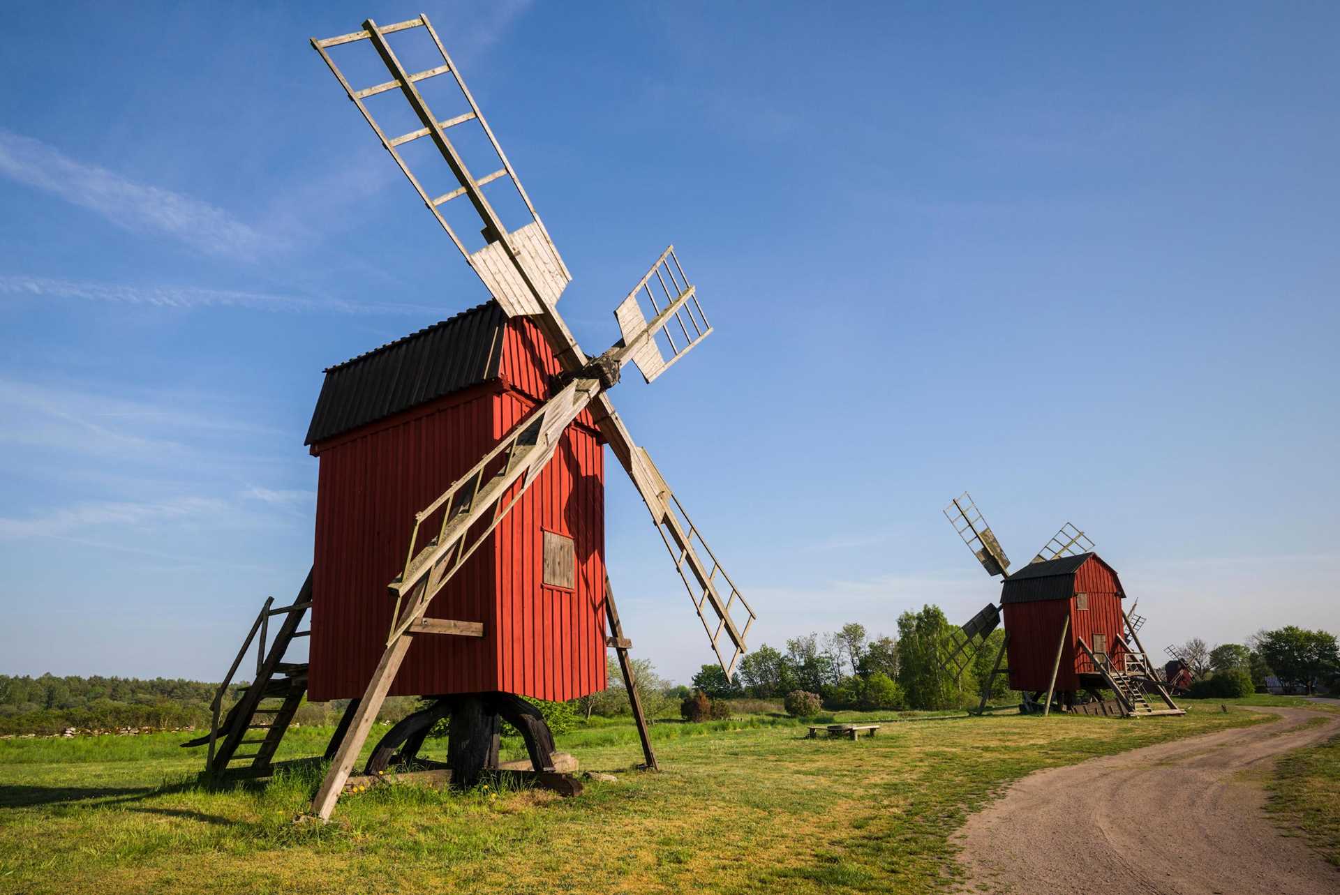 Windmills on Oland Island.jpg