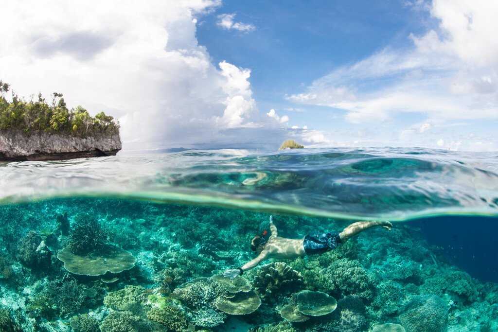 Medium RGB-Lindblad Expeditions-Indonesia Raja Ampat Islands 944324188.jpg