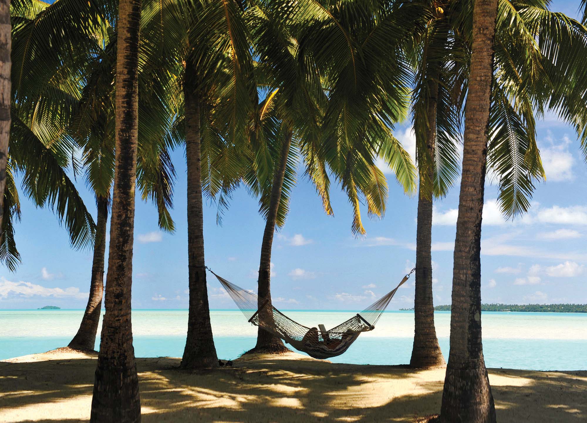 A person relaxing in a hammock by the beach, enjoying the cool shade of the coconut palms