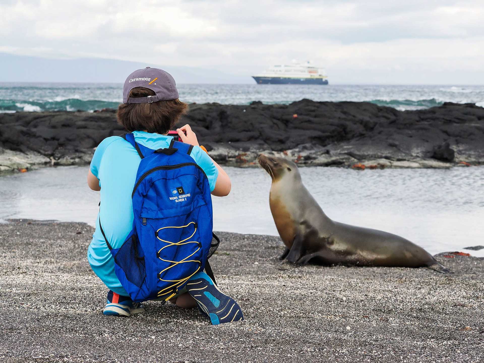 child photographing a young sea lion