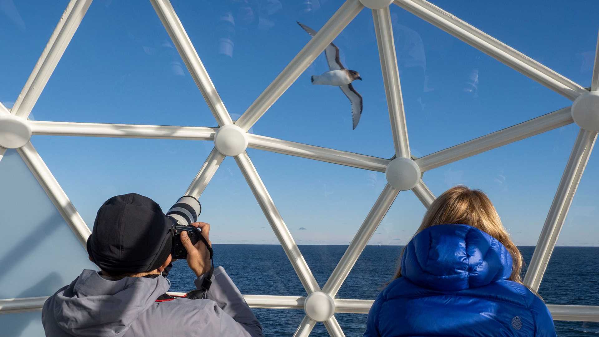 photographers taking a picture of a bird