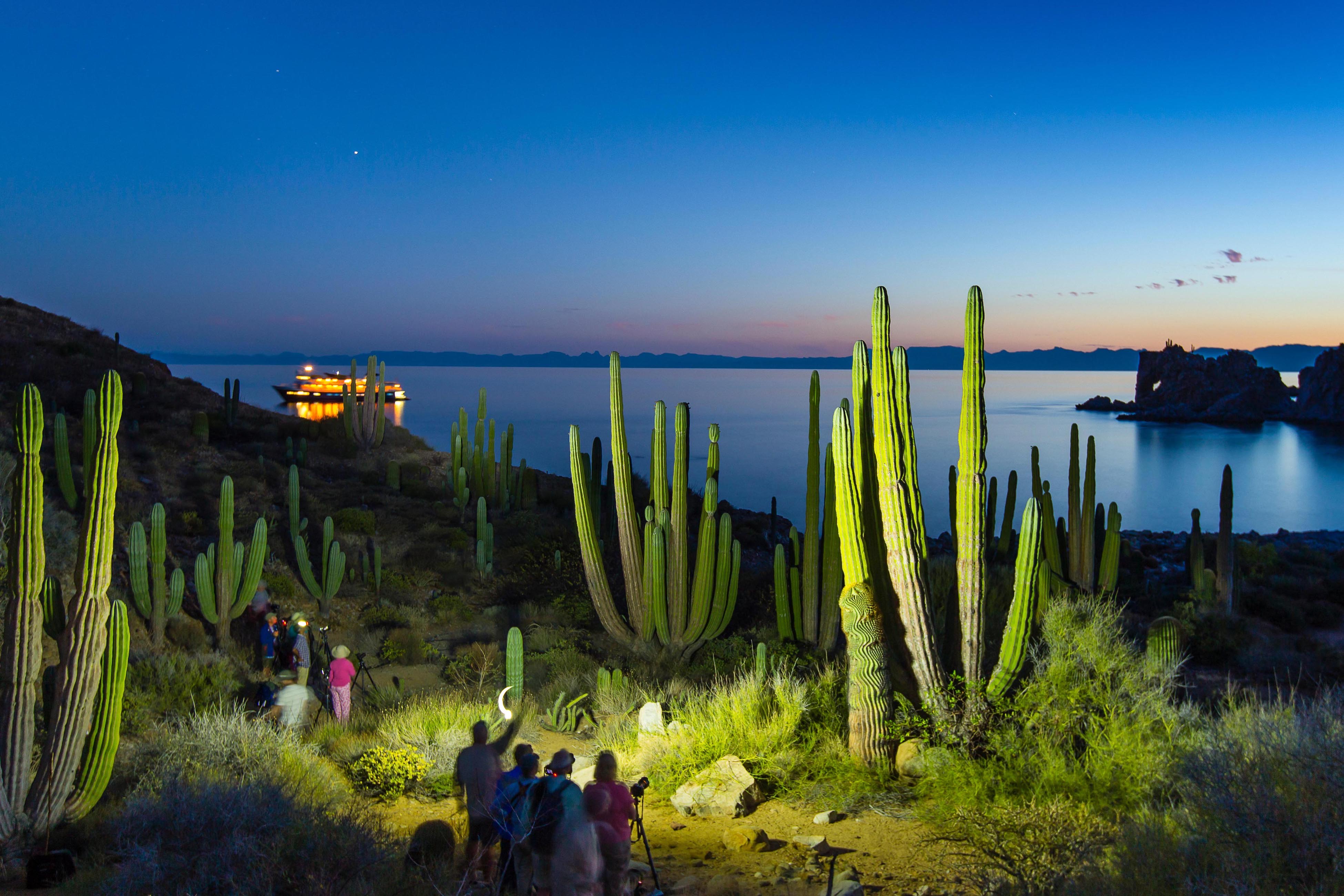 Photographing Baja cacti at night.jpg