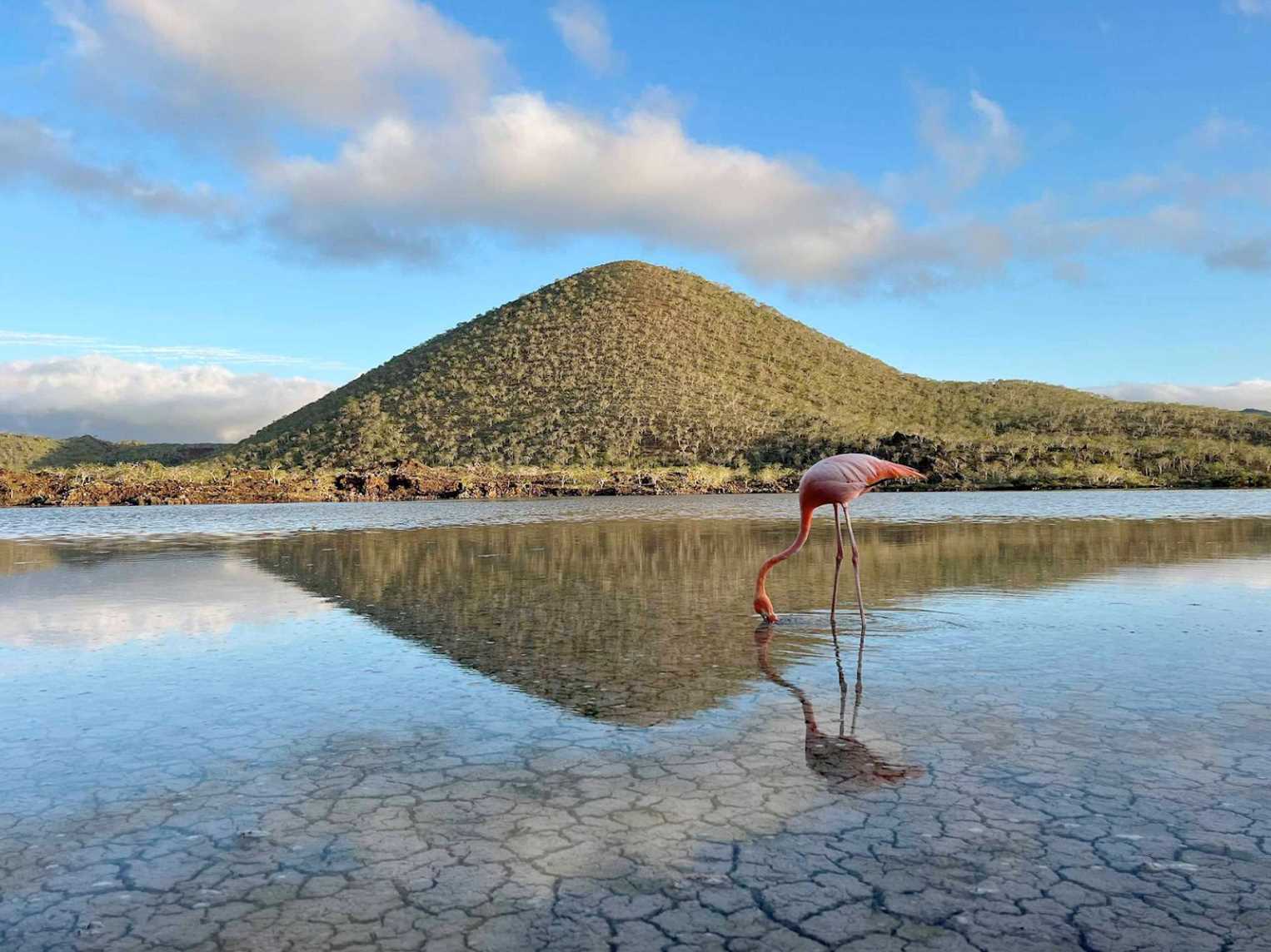 Floreana Island, Galápagos.jpg