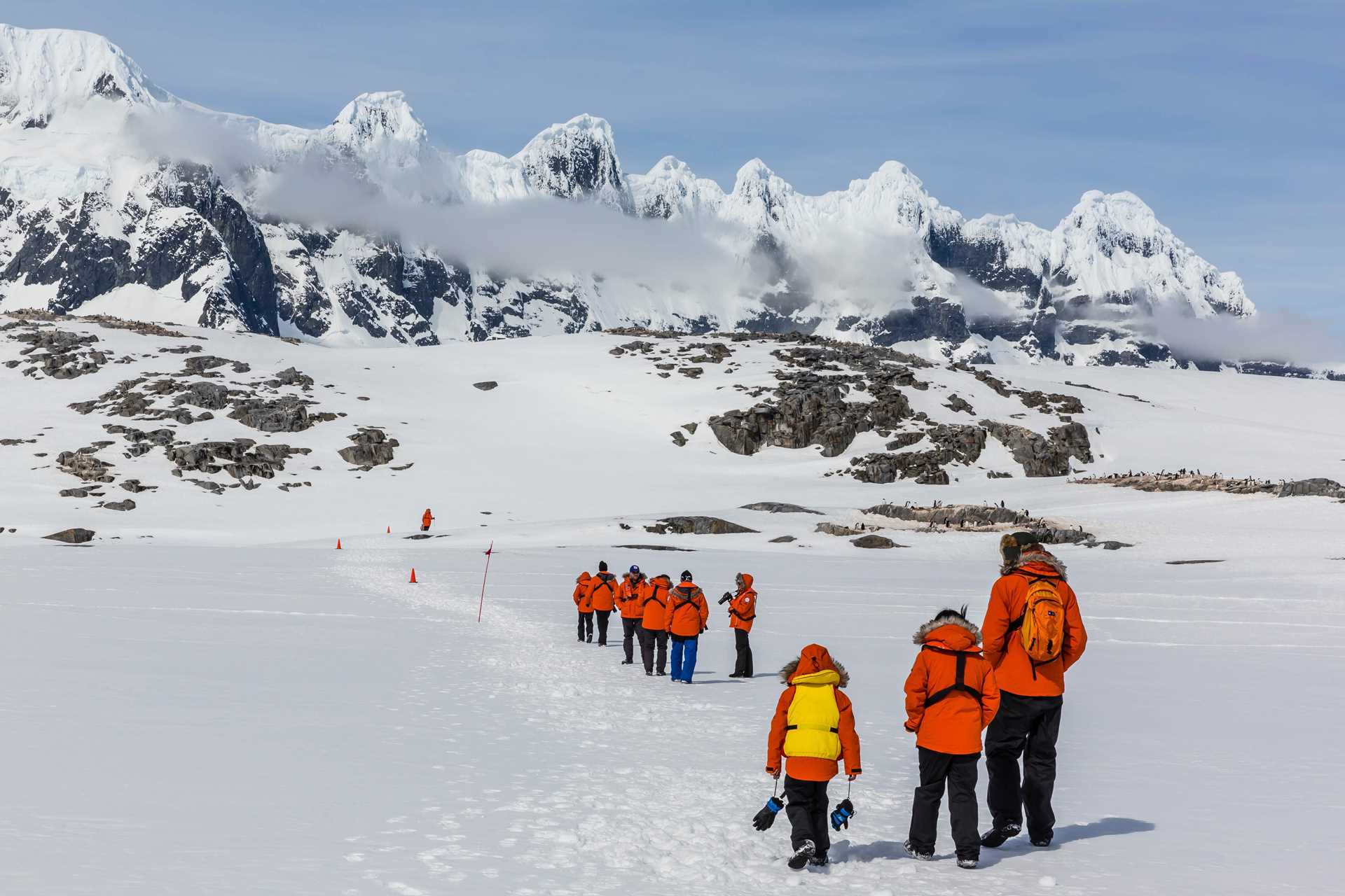 Guests walking in Antarctica.