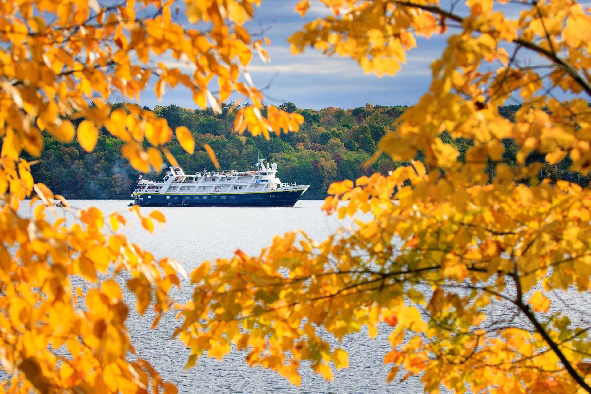 national geographic sea lion ship framed by yellow leaves