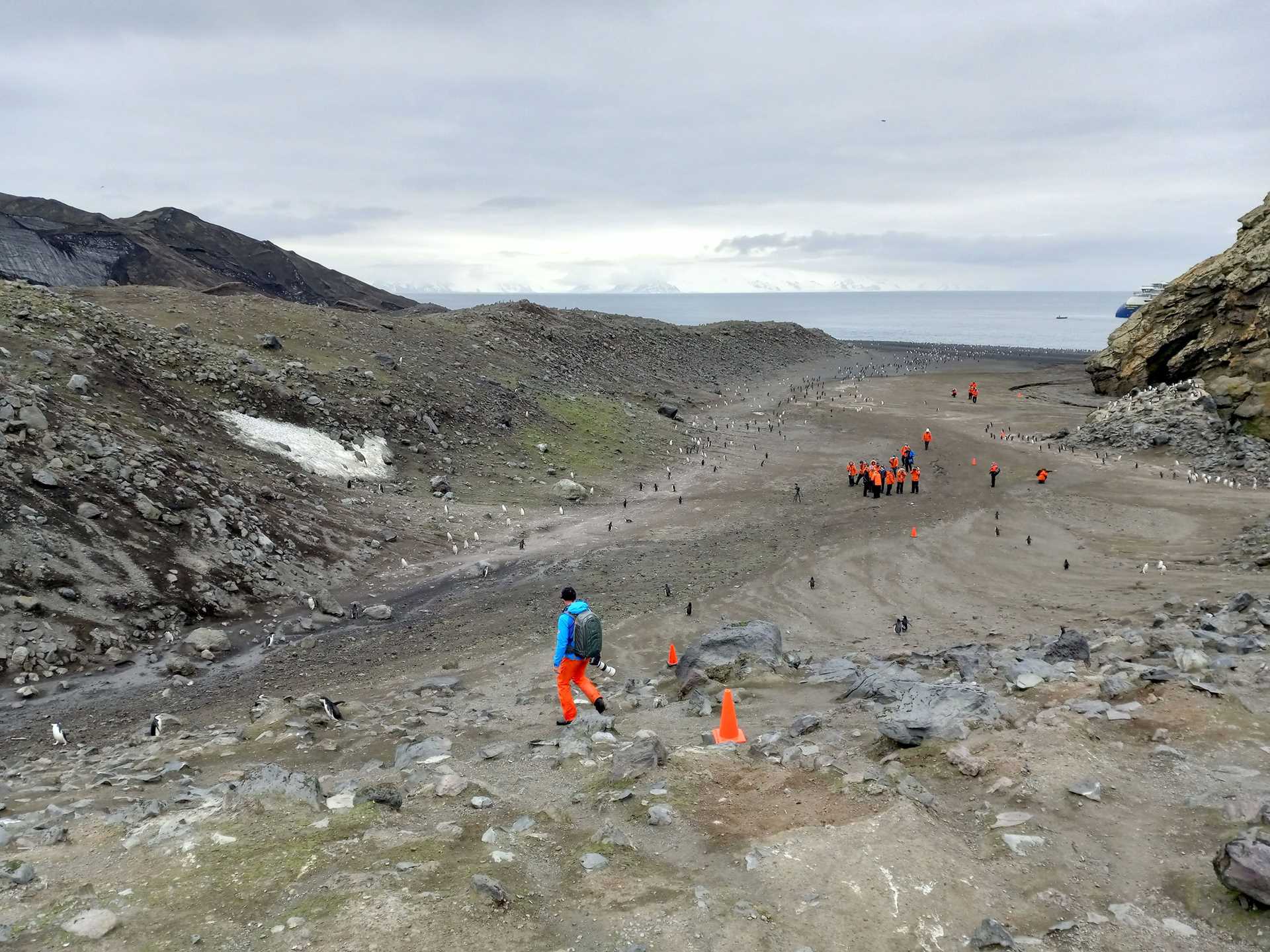 Penguins and hikers