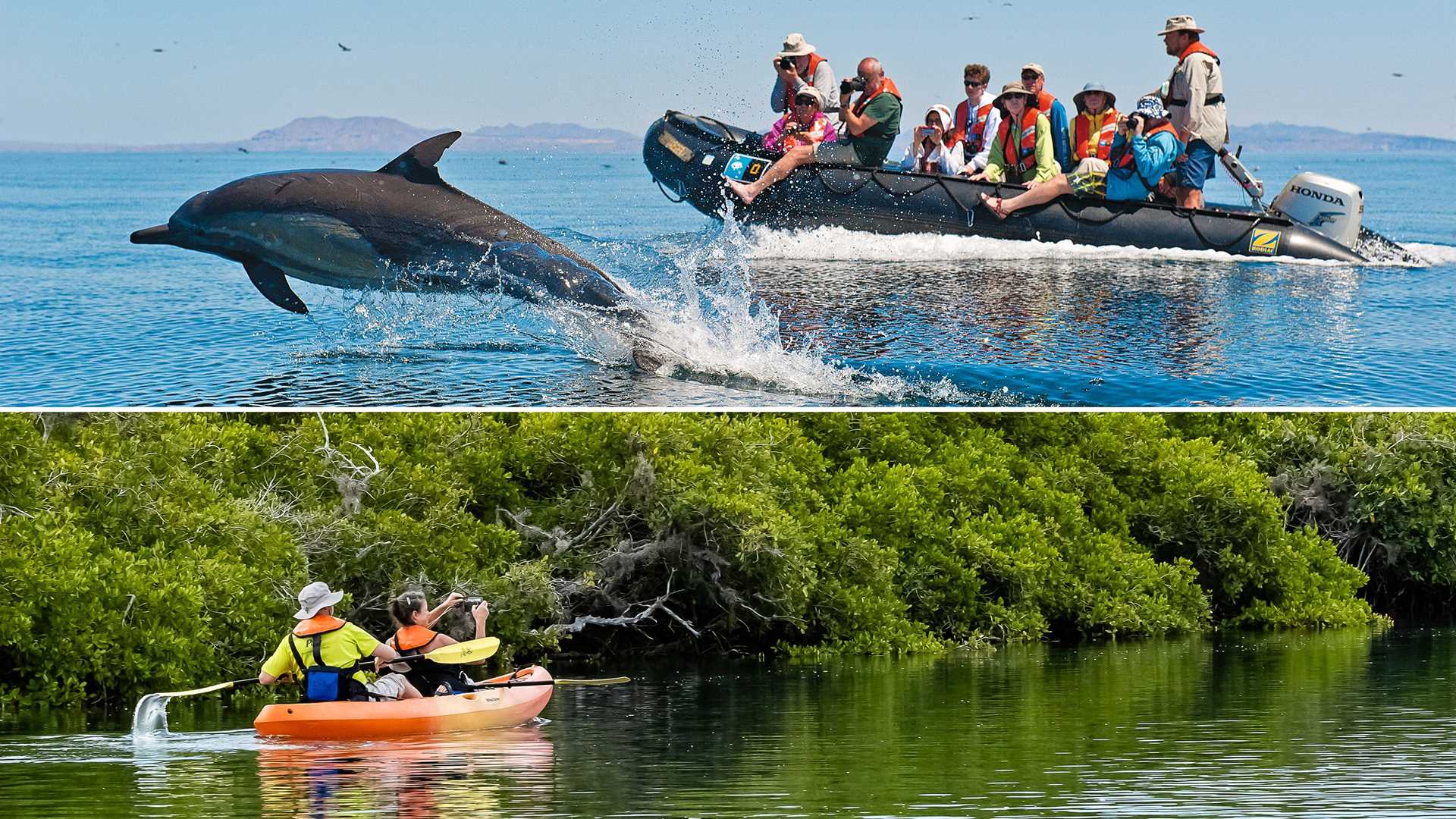 Baja_Active-Exploration.jpg