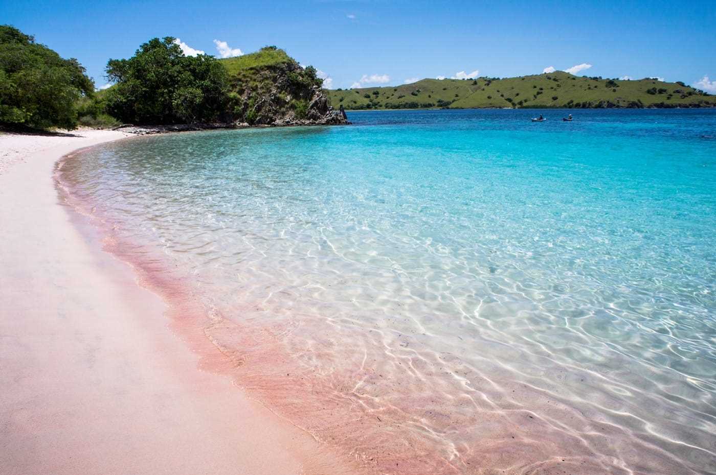 Pink Beach Komodo Island Indonesia.jpg