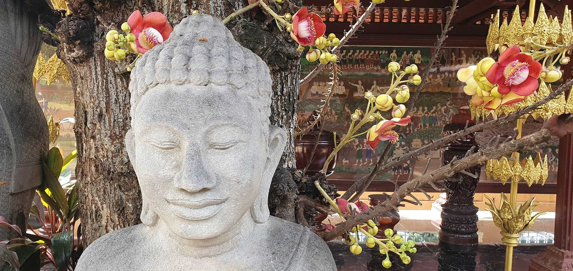 buddha statue next to a cannonball tree