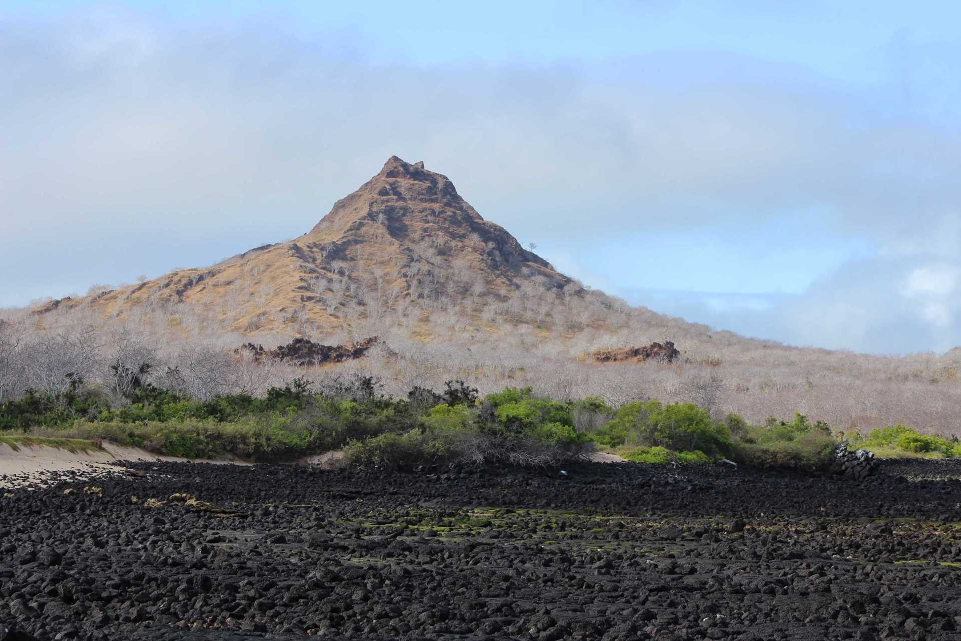 cerro dragon Galápagos