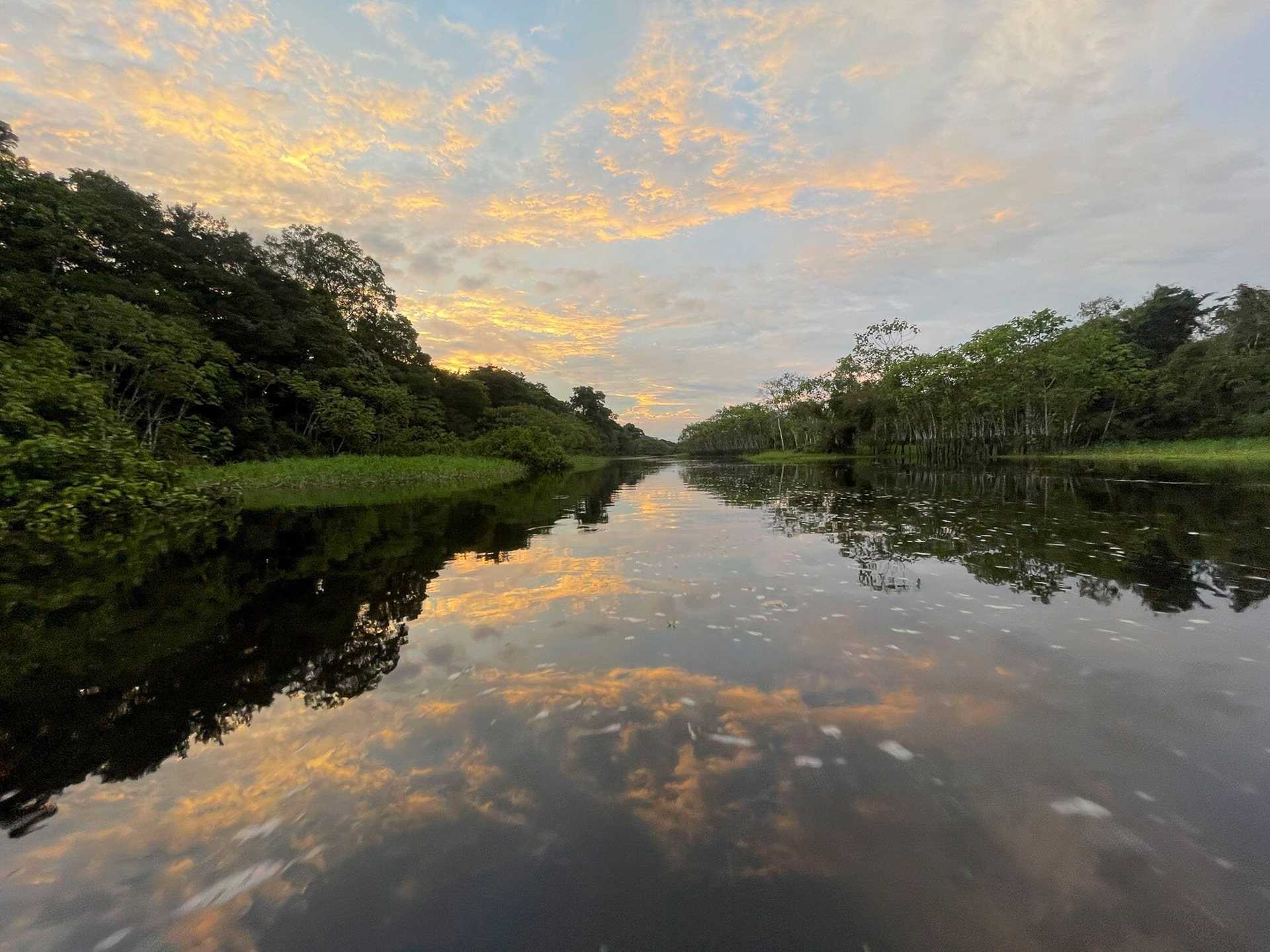 the amazon river reflecting the sky at sunset