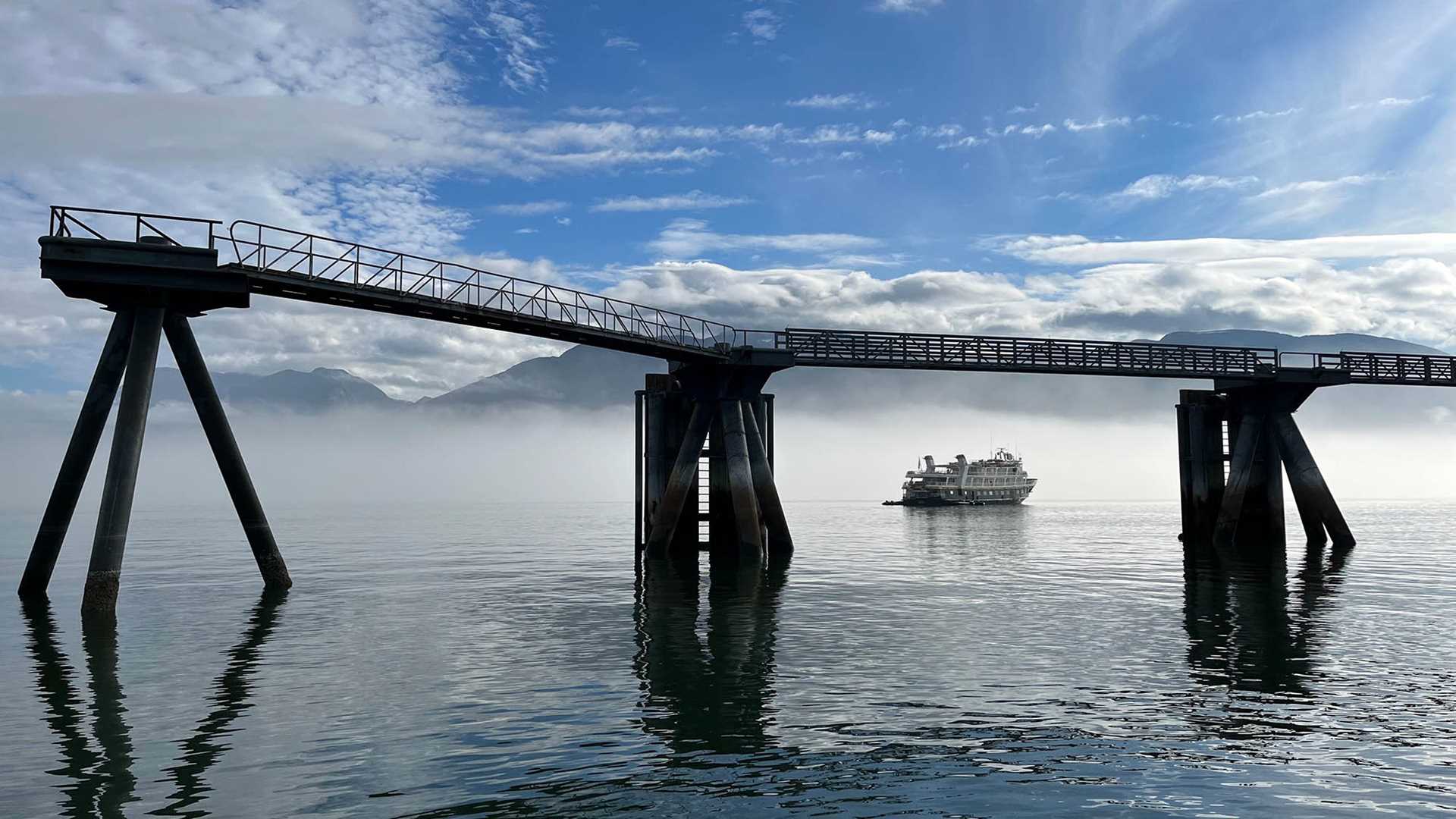 national geographic sea lion under a bridge