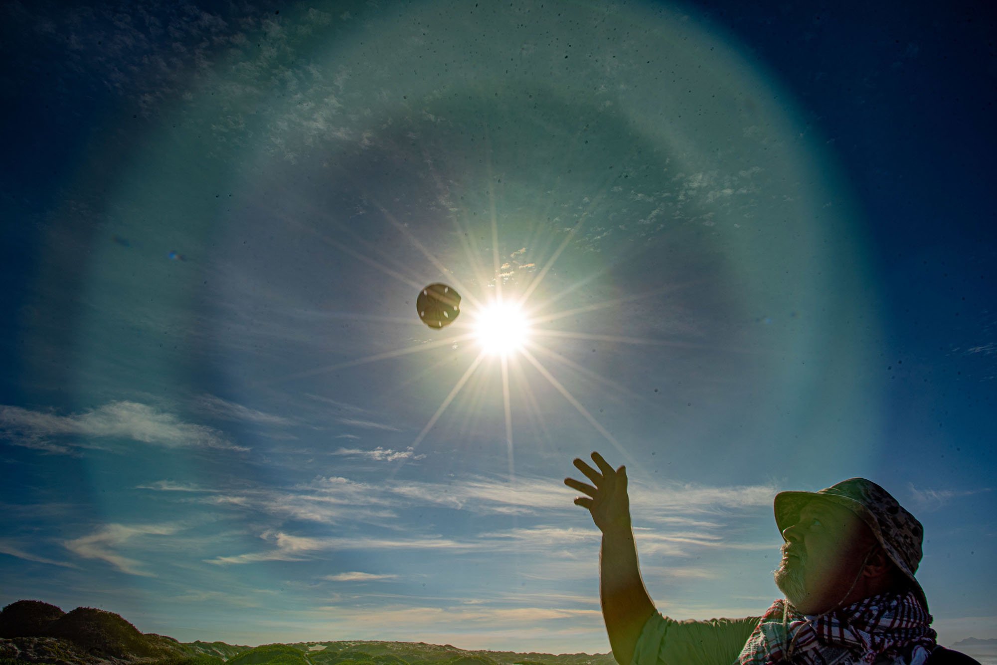 man throwing a sand dollar in the air, with lens flare